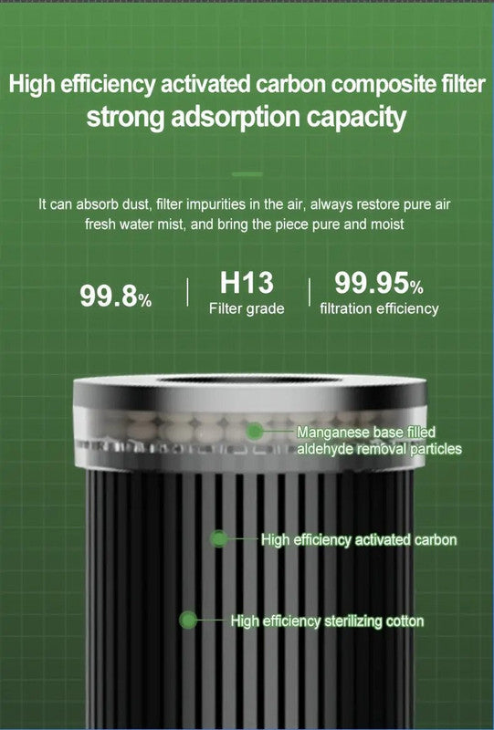 Air Purifier with 99% Dust Elimination